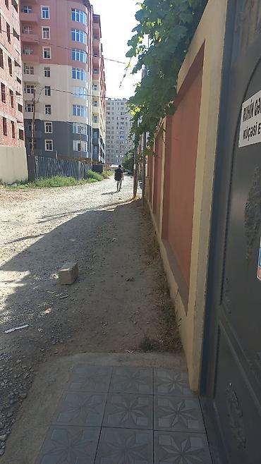 nzs də ev: 3 otaqlı, 56 kv. m, Kredit yoxdur, Yeni təmirli — 4
