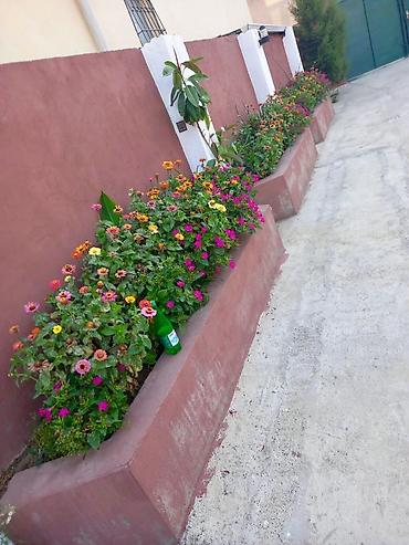 Həyət evləri və villaların satışı: 4 otaqlı, 1000 kv. m, Yeni təmirli — 17