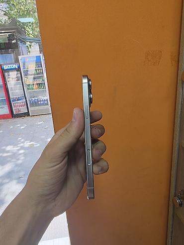 Apple iPhone: IPhone 16 Pro Max, 256 GB, Gümüşü — 4