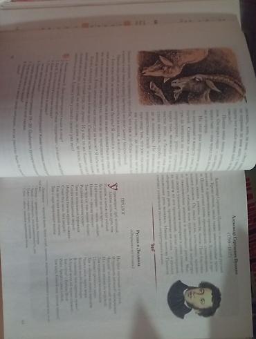кыргыз тили 1: Учебник «Русская литература. 5 класс» Авторы: Е. Е. Озмитель, Л. Э — 3