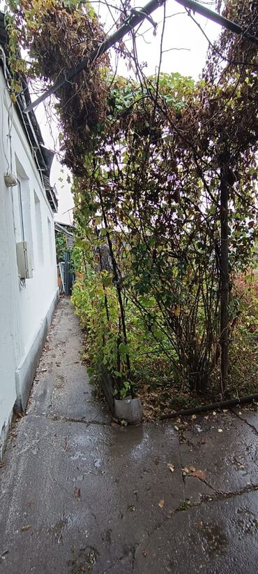 Продажа домов: Полдома, 45 м², 3 комнаты — 5