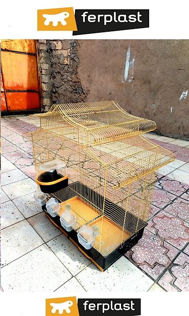 akvarium az: Qızılı rəngdə quş qəfəsi FERPLAST FİRMASI / ITALIA BRENDI - Dekorativ — 3