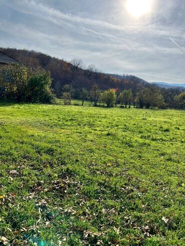 Torpaq sahələrinin satışı: 18 sot, Biznes üçün, Kupça (Çıxarış) — 11