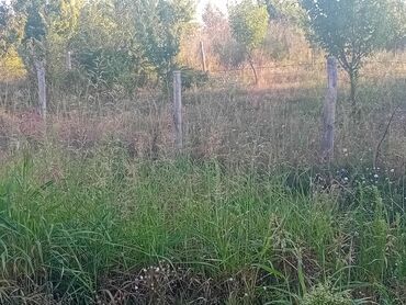 Građevinarstvo i rekonstrukcija: U ponudi su profesionalne hortikulturne usluge koje uključuju košenje — 4