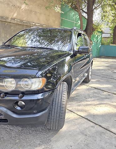 BMW: BMW X5: 2003 г., 3 л, Автомат, Дизель, Внедорожник — 10