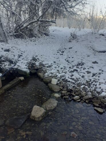 Landşaft işləri: Kupcalı 41 sot torpaq 20 sotda satilir — 19