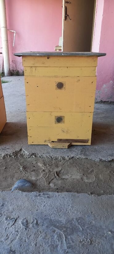 balaca heyvanlar: Ящики для пчел