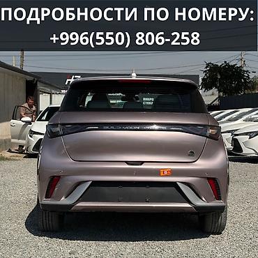 в рассрочка: BYD Dolphin: 2022 г., 0.1 л, Автомат, Электромобиль, Хэтчбэк — 8
