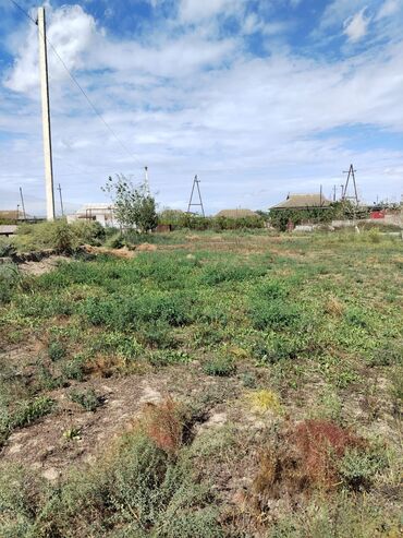 Torpaq sahələrinin satışı: 30 sot, Kənd təsərrüfatı, Mülkiyyətçi, Bələdiyyə — 11