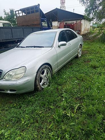 malibu 2: Mercedes-Benz S-Class: 2000 г., 5 л, Автомат, Бензин, Седан — 1