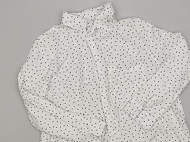 white widow bluza: Women, Koszula damska, rozmiar XL — 1