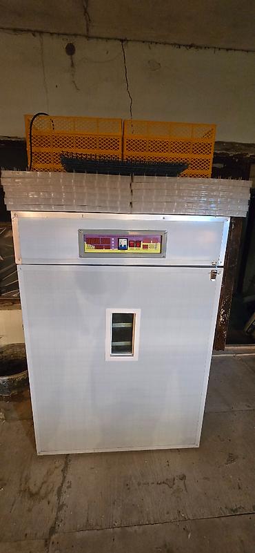 İnkubatorlar: 1100 yumurta, Çin, Fabrik istehsalı, Azərbaycan dilində təlimat, Tam avtomat — 1