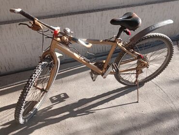 золотые гвоздики: Продам велосипед, в хорошем состоянии сел и поехал. Крашен в золотой
