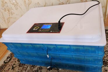 İnkubatorlar: Inqibator 360 yumurtalıq işlənmişdir tam avtomat