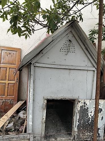 qizil qus: Salam Icinde qus ve toyuq saxlamaq olar artiq vaxt olmadigi ucun — 1
