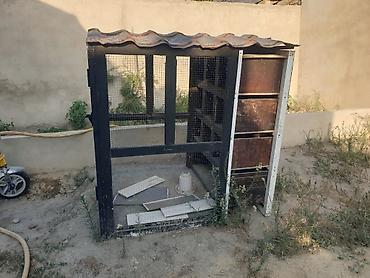 yırtıcı quş: Quşlar üçün açıq havada istifadə oluna bilən qəfəs/voliér - Material — 2