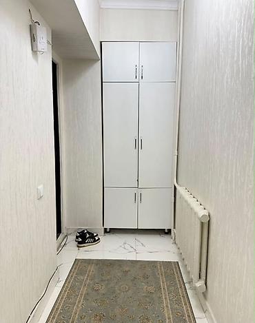 Продажа квартир: 3 комнаты, 61 м², Бишкек Парк ТРЦ Индивидуалка, 4 этаж, Евроремонт — 9