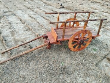 Bağ və bostan üçün digər məhsullar: Тележка для сада передвижная и крепкая araba bağ üçün hərəkətli və — 3