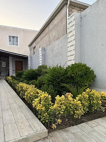Həyət evləri və villaların satışı: Bağ evi kirayə verilir, Mərdəkan Mərdəkanda yerləşən isti, hovuzlu bağ — 13