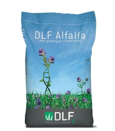 Другие виды семян и саженцев: Продаю люцерны от фирмы dlm alfalfa производство Дания качество 🍀👍