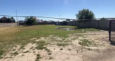1 ha neçə sotdur: 12 sot, Tikinti, Maklerlər narahat etməsin, Kupça (Çıxarış) — 2