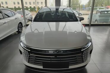 BYD: BYD : 1.5 l | 2024 il 55 km Sedan — 2