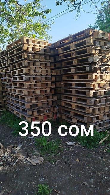 палетты: Продаю поддоны паллеты 120/80120/100 размер евро стандарт — 3
