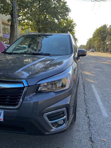 субару 2015: Subaru Forester: 2020 г., 2.5 л, Автомат, Бензин, Кроссовер