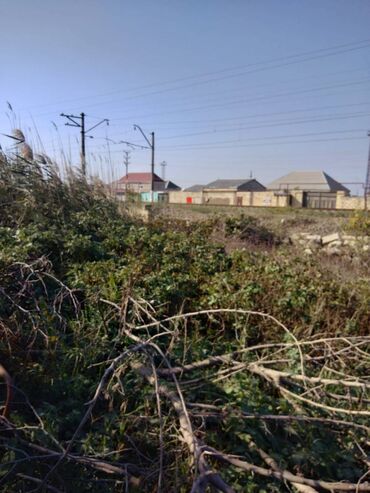 Torpaq sahələrinin satışı: 12 sot, Mülkiyyətçi, Kupça (Çıxarış) — 8