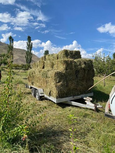 Прицепы и полуприцепы: Прицеп, Special trailer, Автовоз — 4