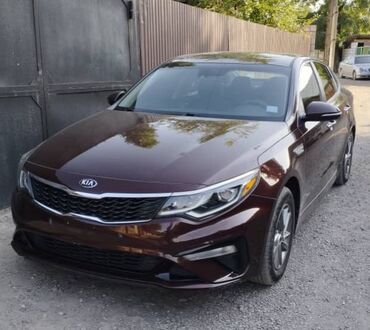 машина гест: Kia Optima: 2019 г., 2.4 л, Автомат, Бензин, Седан