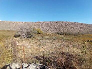Продажа участков: 1800 соток, Для бизнеса, Красная книга at lalafo.kg — 8 Продажа участков: 1800 соток, Для бизнеса, Красная книга — 8