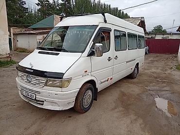 sprinter 315: Автобус, Mercedes-Benz, 1999 г., 3 л, 16-21 мест — 4