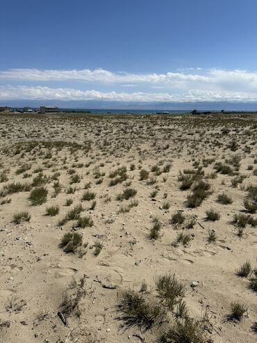 Продажа участков: 8 соток, Для сельского хозяйства, Договор купли-продажи — 6