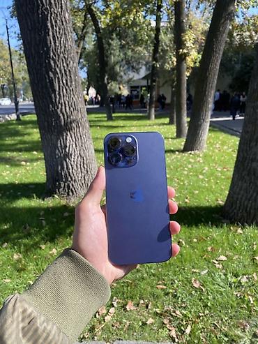 iphone 13mini: IPhone (линейка Pro max), синий/сине‑фиолетовый цвет корпуса — 1