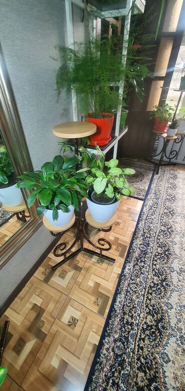 Декоративные цветы: Гүл койгучтар сатылат.биринчи ярус 52см,экинчи ярус 1м05см. баасы — 4