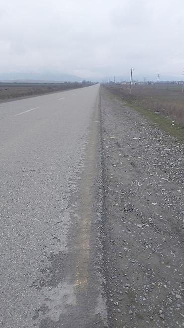 Torpaq sahələrinin satışı: 20000 sot, Kənd təsərrüfatı, Kupça (Çıxarış) — 3