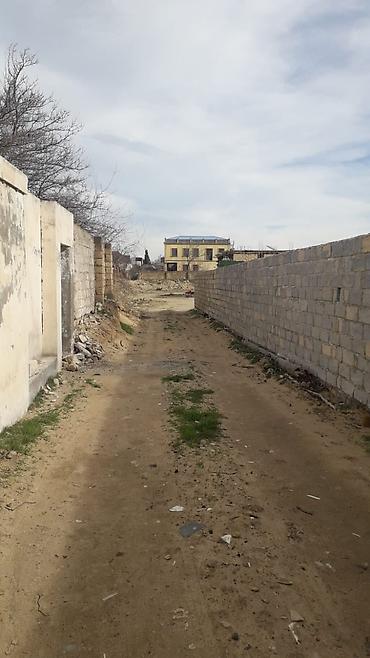 goredil: 5 sot, Tikinti, Mülkiyyətçi, Kupça (Çıxarış) — 2