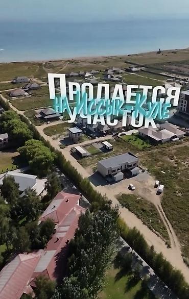 4 соток, Курулуш, Кызыл китеп