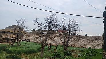 Həyət evləri və villaların satışı: 4 otaqlı, 140 kv. m — 2