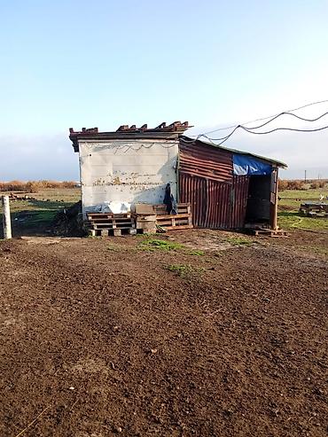 Konteynerlər: Vaqon,konteyner Təcili 3 ədəd konteyner satılır 11x3 6x3 7×5,2 -da lalafo.az — 15 Konteynerlər: Vaqon,konteyner Təcili 3 ədəd konteyner satılır 11x3 6x3 7×5,2 — 15