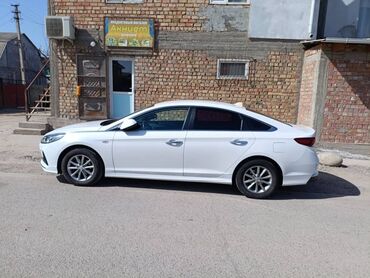 бампер на соната: Hyundai Sonata: 2017 г., 2 л, Автомат, Газ, Седан
