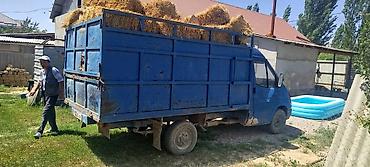 Ford: Ford Transit: 1991 г., 2.5 л, Механика, Дизель, Фургон — 6