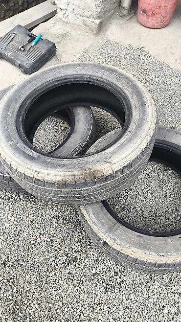 daf 95: Шины 205 / 60 / R 16, Зима, Б/у, Комплект, Легковые, GoodYear — 1