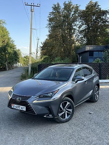 мотор нексия 1: Lexus NX: 2019 г., 2 л, Автомат, Бензин, Кроссовер — 1