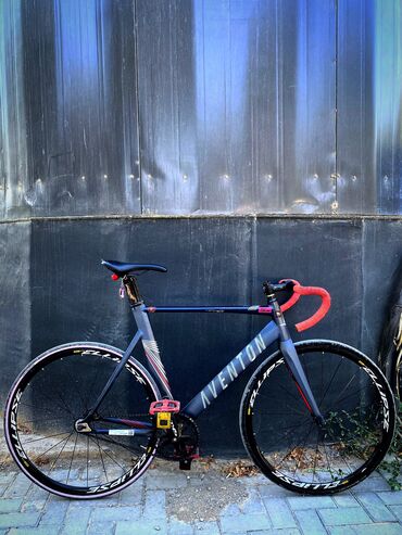 крыло сивик: Шаардык велосипед, Велосипед алкагы L (172 - 185 см)