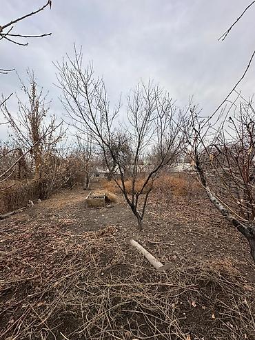 Продажа участков: 7 соток, Для строительства, Красная книга, Тех паспорт, Договор купли-продажи — 6