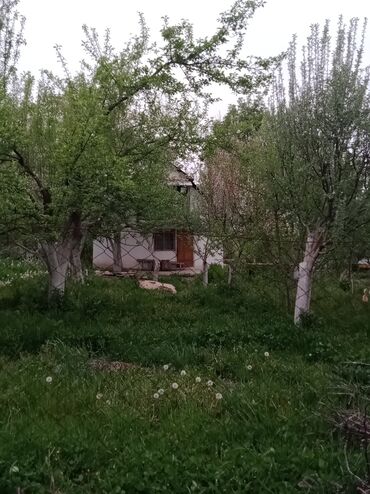 сдаю в аренду землю: 5 соток, Кызыл китеп