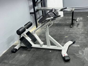 домашний велосипед тренажер: Булчуң машыктыргыч, Гиперэкстензия, Арка үчүн