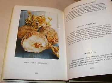 kad lisce pada 88: Biografija duše i tajne bilja Matija PaunovskiMirjana — 3